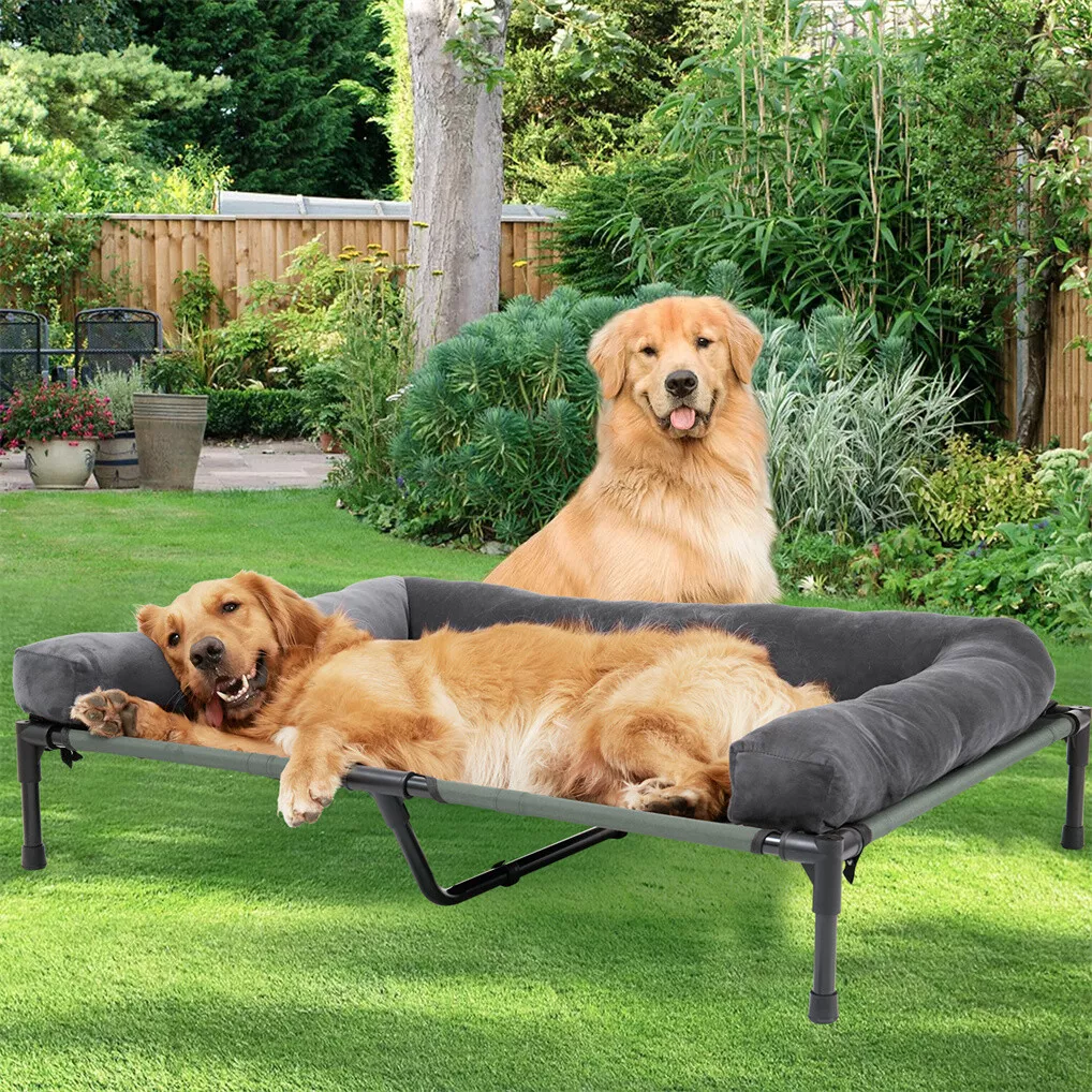 BINGOPAW Buiten Hondendekbed V - Outdoor Camping Cot recensie en prijs