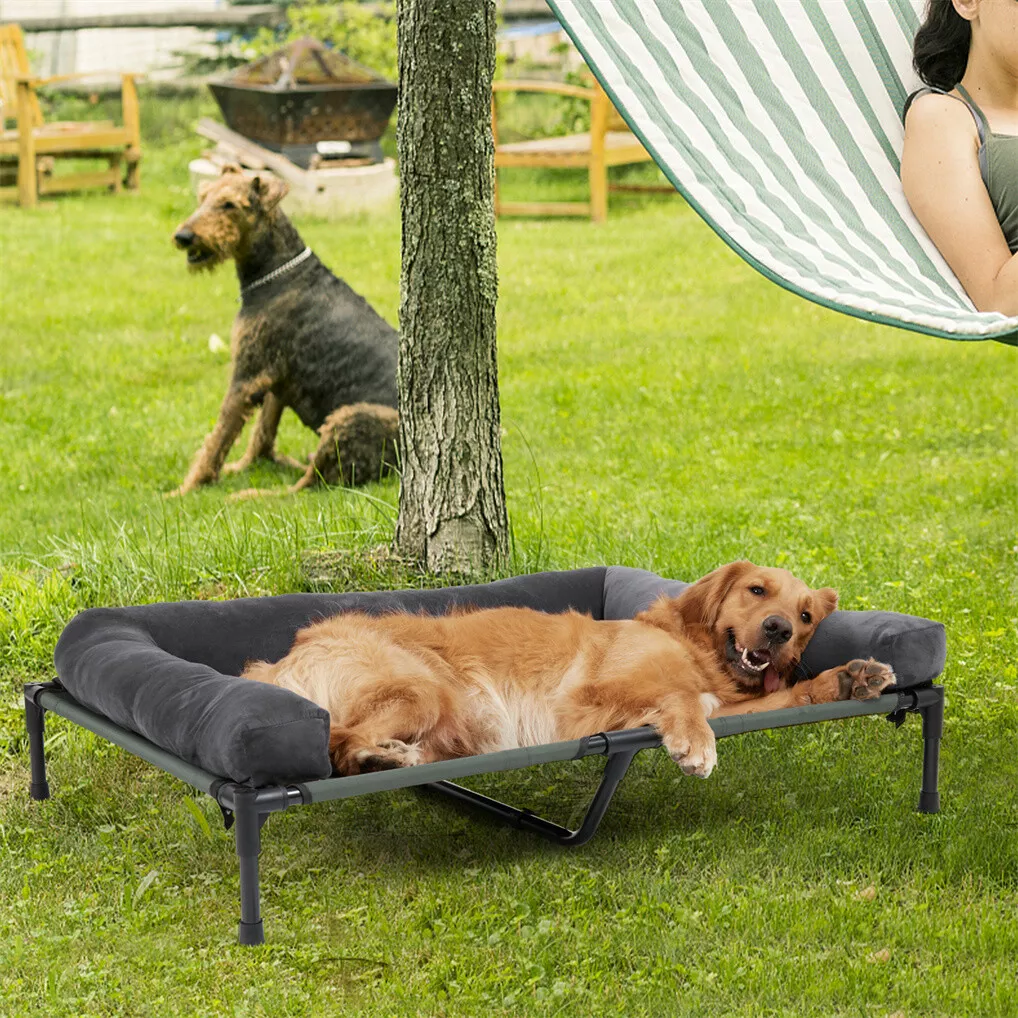 BINGOPAW Buiten Hondendekbed V - Outdoor Camping Cot recensie en prijs