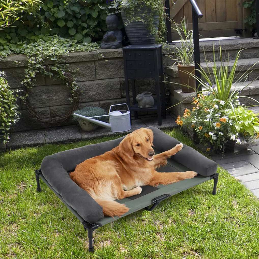 BINGOPAW Buiten Hondendekbed V - Outdoor Camping Cot recensie en prijs